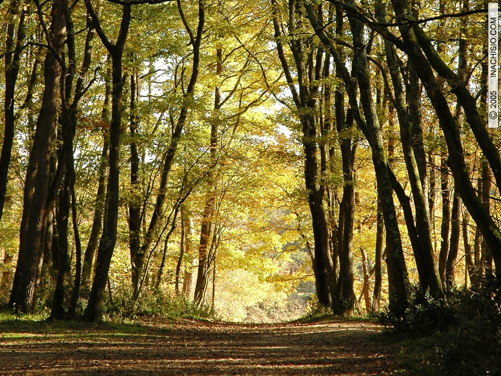 Rencontres foret de fontainebleau