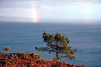 Pointe de Crozon