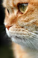 Regard
